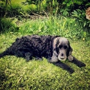 Peppi03072012 Peppi